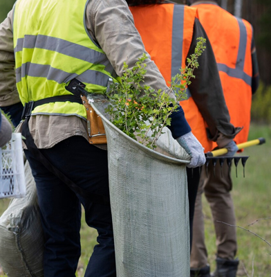Peyzaj ve Çevre Düzenleme Hizmetleri